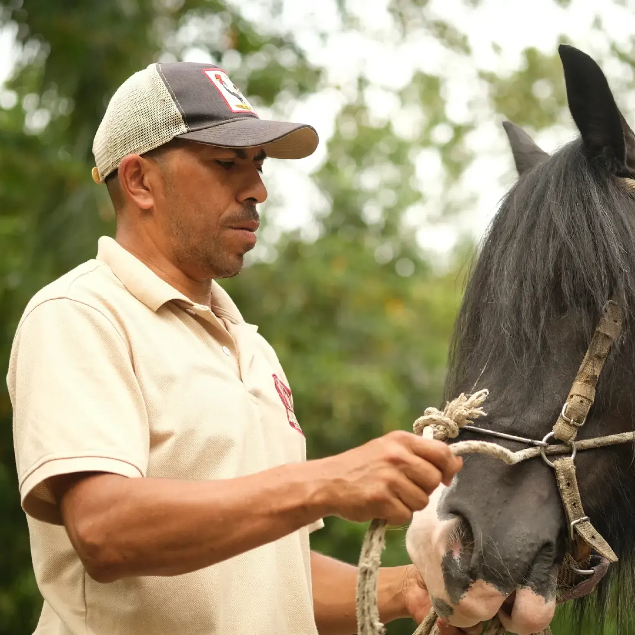 9 Tips para cuidar animales de granja